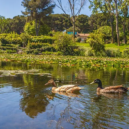 Appartement Les Rivages De Coudouliere-31 By Interhome Six-Fours-les-Plages