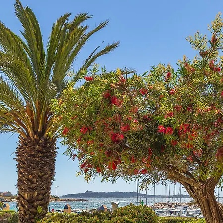 Les Rivages De Coudouliere-31 By Interhome Appartement Six-Fours-les-Plages